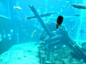 公孫陽を捕虜に董襲は船が沈没し水死