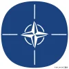 世界史05b NATOの国旗