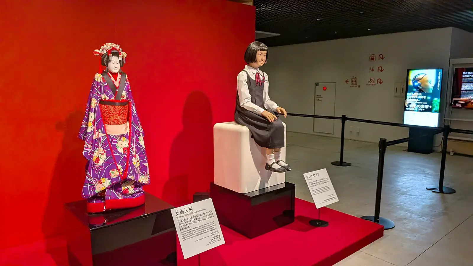 いのちの未来+のゾーン1に並ぶ文楽人形と少女のアンドロイド